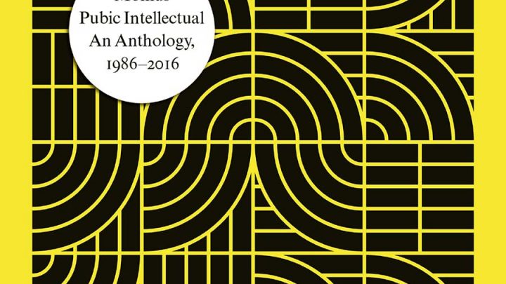 Momus – Public Intellectual – An Anthology 1986 – 2016 – CD Review