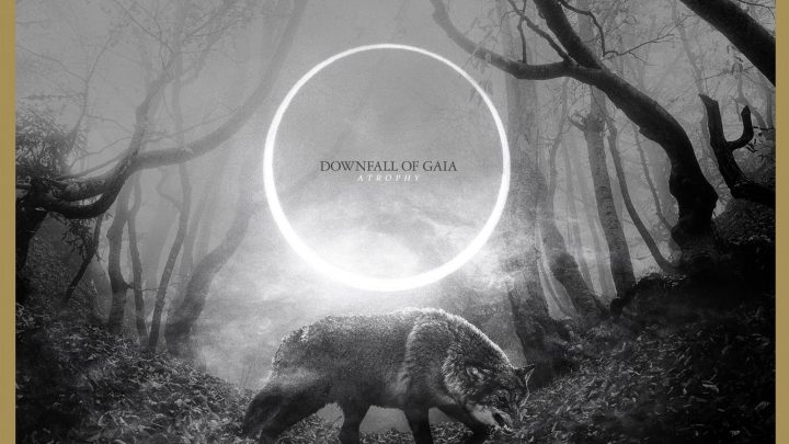 Dominik Goncalves dos Reis – Downfall of Gaia Interview