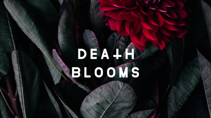DEATH BLOOMS reveal new music video