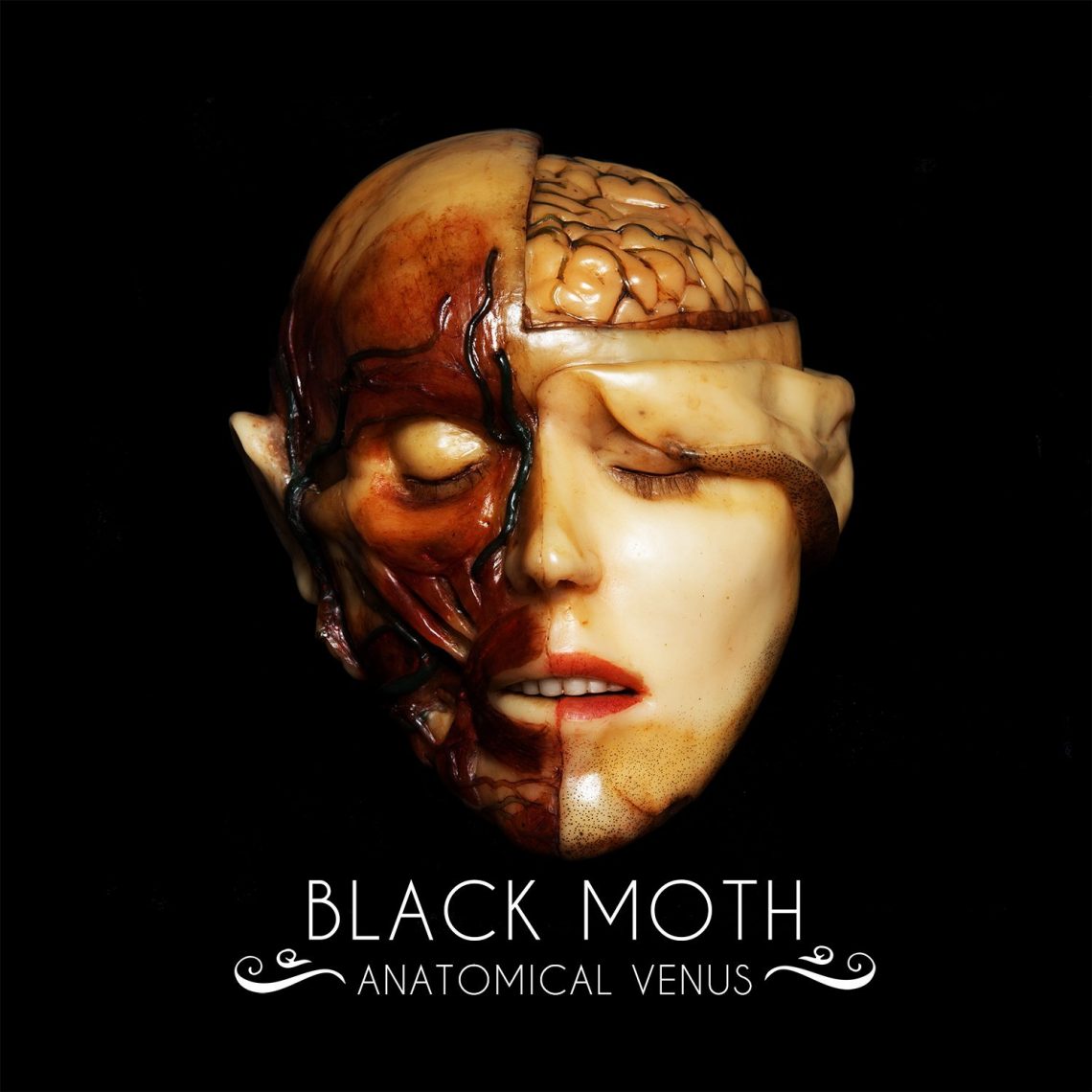 Black Moth – Anatomical Venus