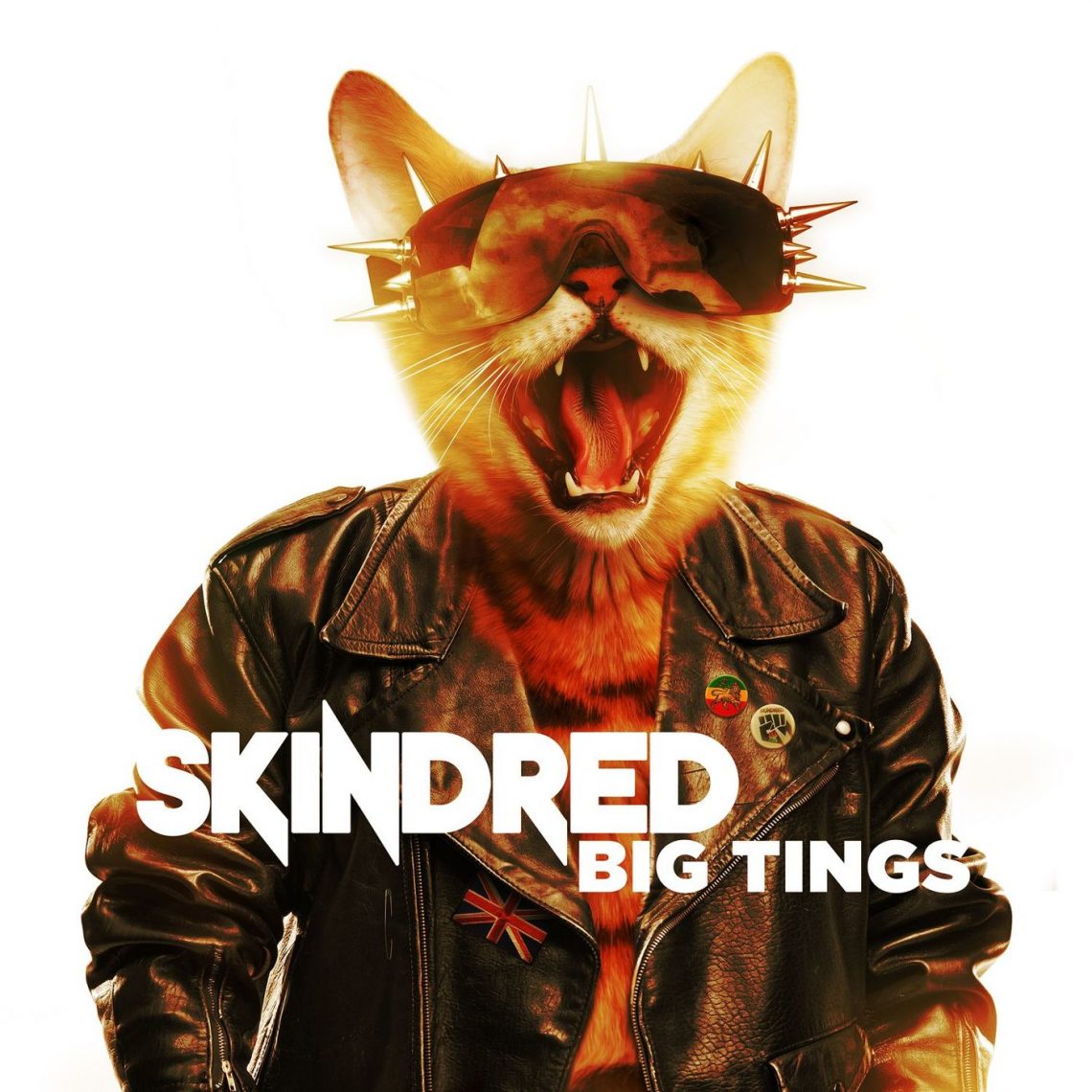 SKINDRED ANNOUNCE WINTER TOUR