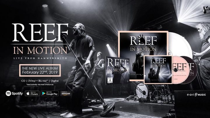 7pm Management Take on Worldwide Management of highly revered UK Top 40 rockers REEF.