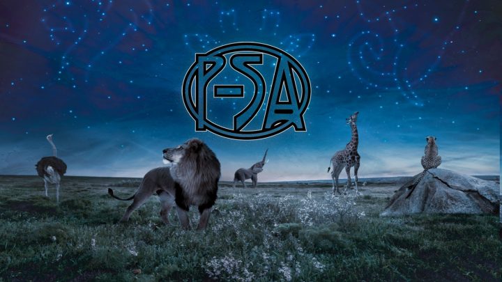 Pattern-Seeking Animals set May 15th, 2020 as release date for new studio album “Prehensile Tales”