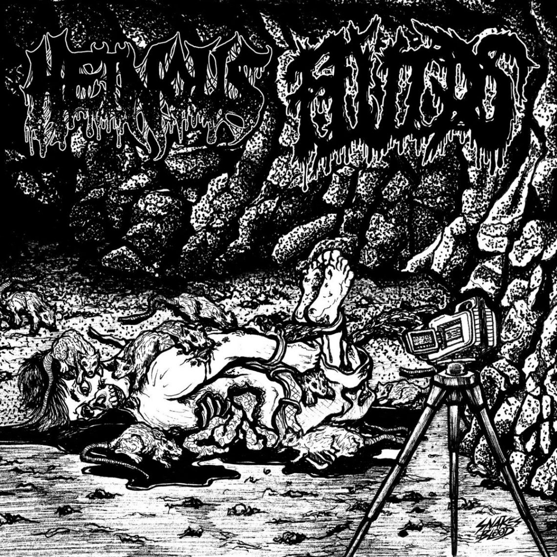 HEINOUS to release split with FLUIDS on Horror Pain Gore Death Productions; “Snuffed / Torture Euphoric” set for release on May 29th