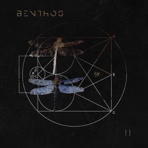 Gabri and Ale of Progressive Metal Act Benthos Talk Cats and Drop New Single