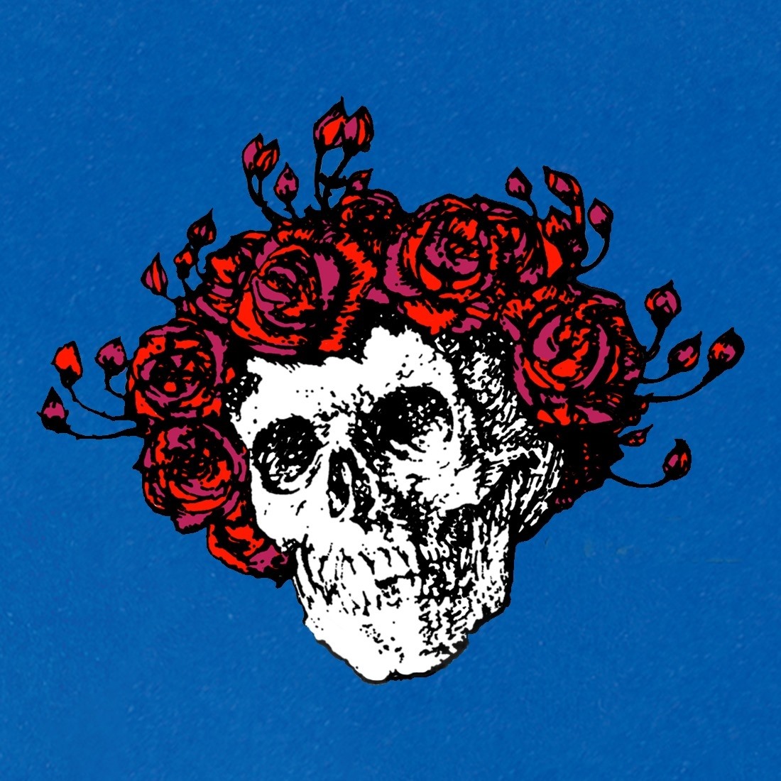 GRATEFUL DEAD Skull & Roses
