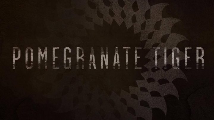 Prog metal multi-instrumentalist Pomegranate Tiger returns with new single