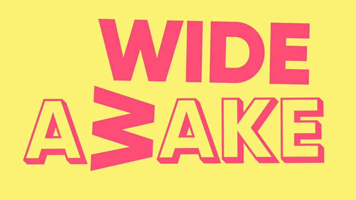 Wide Awake Festival 2023 Review
