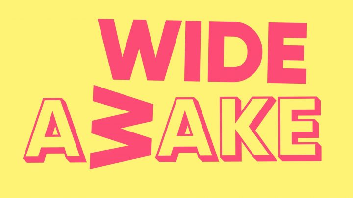 Wide Awake Festival 2023 Review