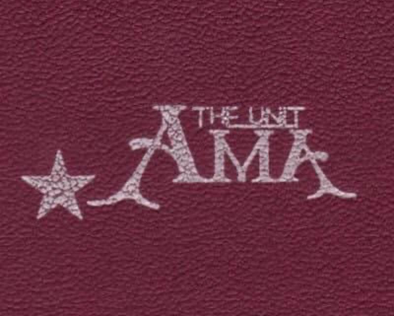 THE UNIT AMA ANNOUNCE NEW ALBUM ‘TOWARD’ RELEASED AUGUST 18TH VIA GRINGO RECORDS